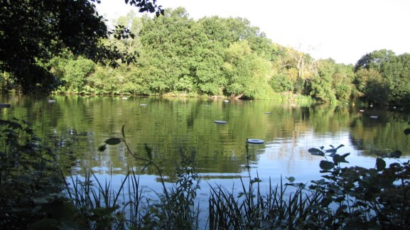 Feels like miles away from London